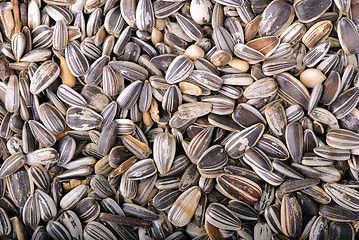 Image showing Sunflower seeds