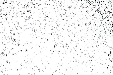 Image showing Rain Drops or dew