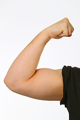 Image showing Biceps