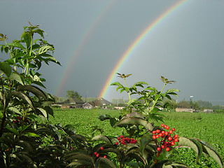 Image showing Rainbow