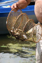 Image showing fisherman