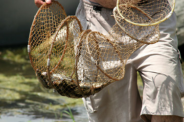 Image showing fisherman