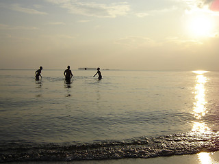 Image showing Playing ball in water