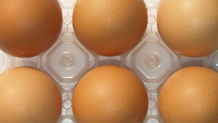 Image showing Eggs