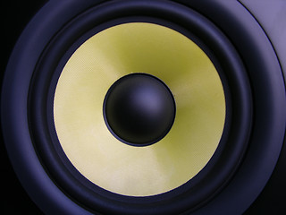 Image showing Yellow Woofer