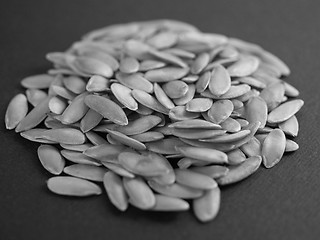 Image showing Melon seeds