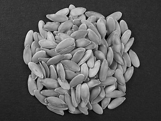 Image showing Melon seeds