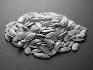 Image showing Melon seeds