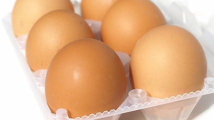 Image showing Eggs