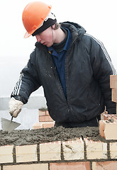 Image showing Brick layer worker builder mason