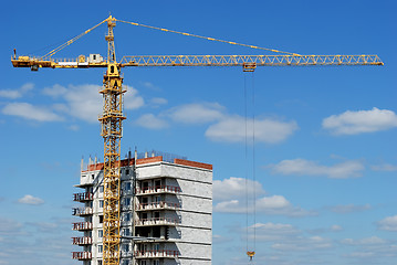 Image showing Single tower column crane loader