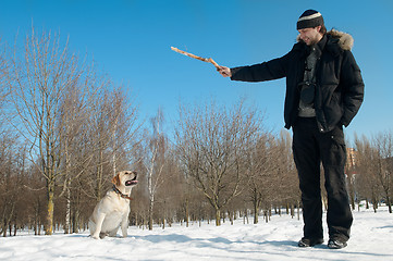 Image showing training a retriever labrador dog