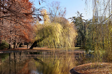 Image showing park in Novi Sad, Serbia