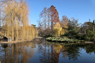 Image showing park in Novi Sad, Serbia