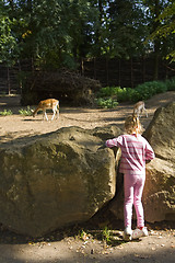 Image showing In the zoo