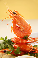 Image showing Standing Shrimp