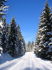 Image showing Winter road