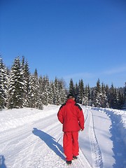 Image showing Walking in winter