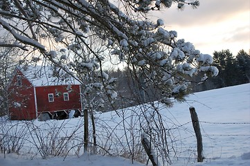 Image showing winter field