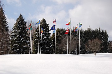 Image showing flags