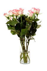 Image showing Roses in vase