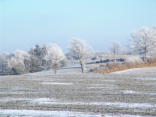 Image showing a frosty day