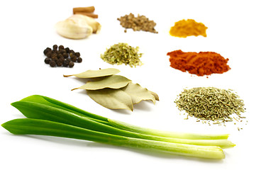 Image showing Spices