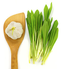 Image showing Garlic and ramsons