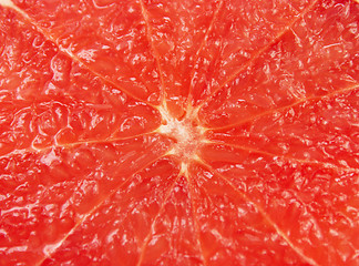 Image showing Grapefruit macro