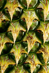 Image showing Pineapple texture