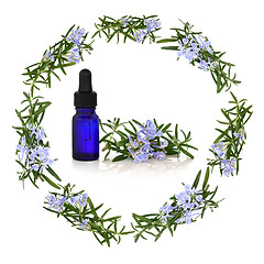 Image showing Rosemary Herb Flower Therapy