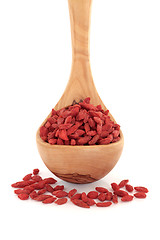 Image showing Himalayan Goji Berry Fruit