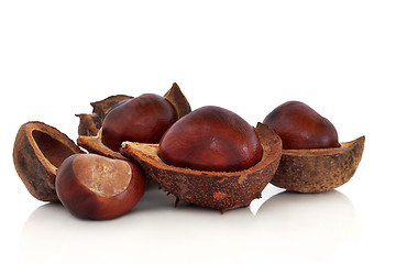 Image showing Chestnuts