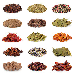 Image showing Spice and Herb Collection