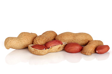 Image showing Peanuts  