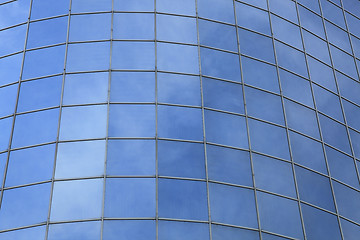 Image showing Corporate windows texture