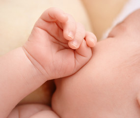 Image showing Newborn sucks mother's breast, breastfeeding