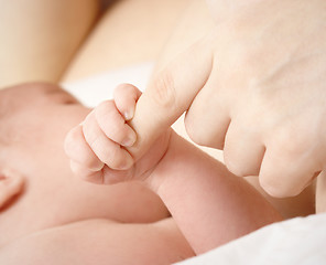 Image showing Newborn sucks mother's breast, breastfeeding