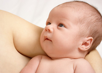 Image showing Newborn in mother's hands