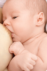 Image showing Newborn sucks mother's breast, breastfeeding