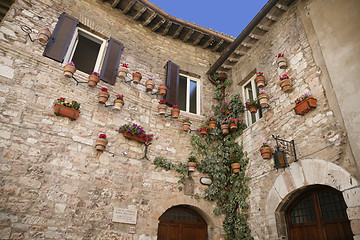 Image showing Nice facade Assisi