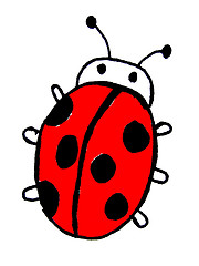 Image showing ladybird