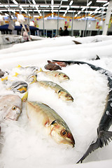 Image showing fish market