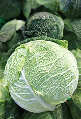 Image showing cabbage