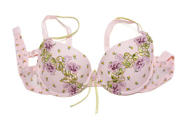 Image showing Rose bra with green embroidery