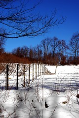 Image showing winter fence