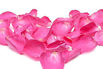 Image showing Petal of the roses