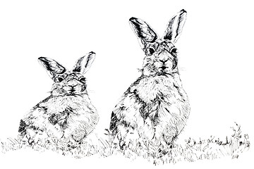 Image showing The Hares