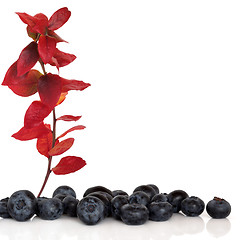 Image showing Blueberry Fruit