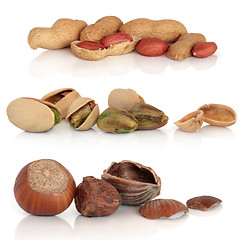 Image showing Hazelnut, Pistachio and Peanut Selection